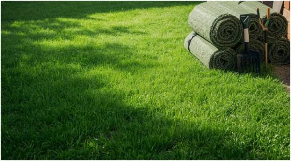 Why Does Preparation Matter So Much When Learning How to Lay Sod?