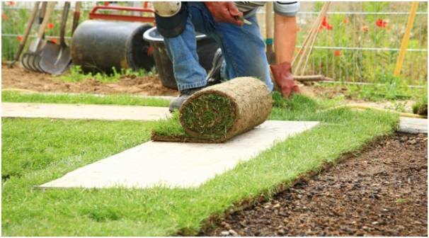 How Should You Care for the Lawn After Learning How to Lay Sod?