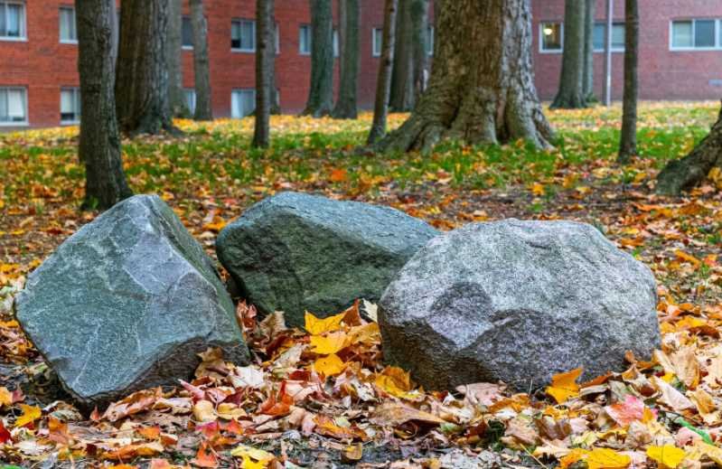 Landscape Rock in Utah: How to Choose Materials That Look Good and Perform Well