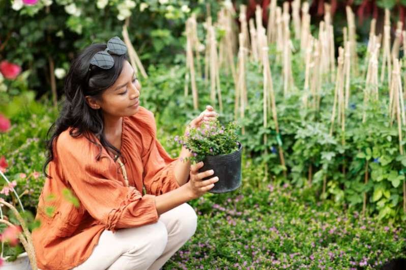Reliable Perennials for Year-Round Appeal