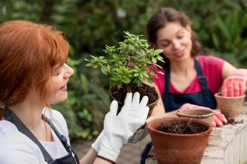 Utah Climate Demands Materials And Planting Choices That Age Well